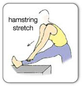 hamstring stretch illustration